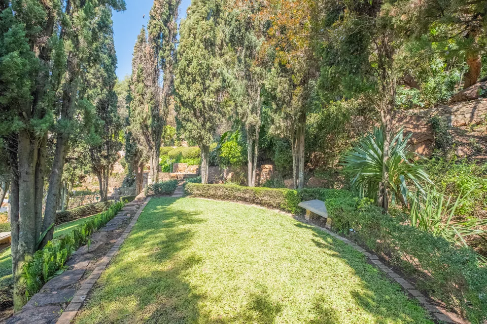 Sunlit garden lawn bordered by cypress trees, ferns and stone terraces
