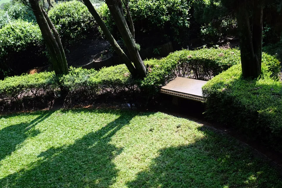 Secluded shaded lawn with a stone bench among clipped hedges and mature trees